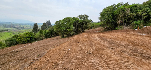 Campo Mar 4, Quintero