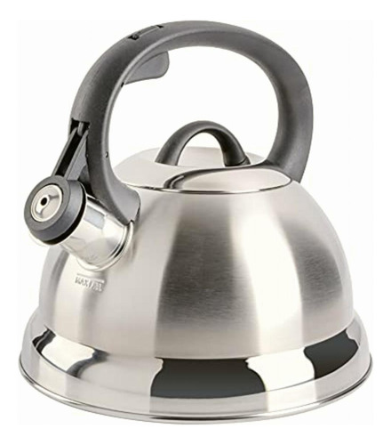 Mr. Coffee 91407.02 Flintshire Tetera Silbante De Acero