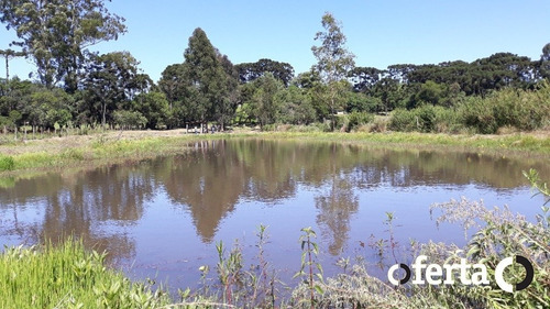 Imagem 2 de 15 de Chacara Com Casa - Campina Das Pedras - Ref: 671 - V-671