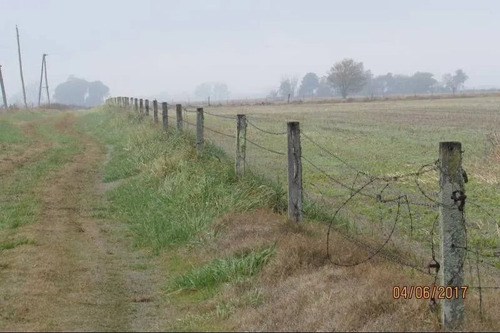 Imagen 4 de 9 de Campo En Venta En Chacabuco