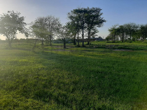 Imagen 4 de 7 de Lote - Terreno - 1930 M2 - Luis Palacios