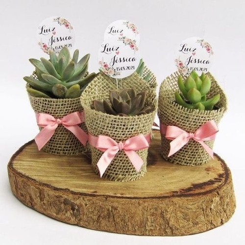 Imagen 5 de 8 de Suculentas, Cactus Recuerdos Eventos, Matrimonio,bautizo
