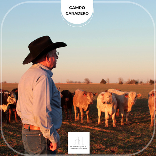 Paysandú, Campo Criador Ganadero