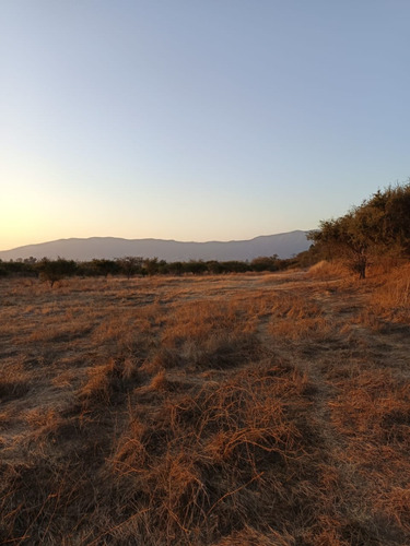 Se Vende Parcela 3,4 Hectáreas Con Derechos De Agua, Limache