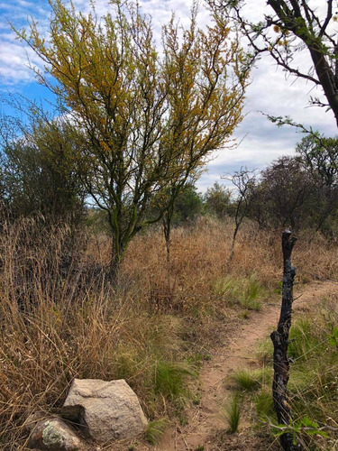 Imagen 3 de 14 de Lote De 2500 M2 Ubicado En Las Chacras - Villa De Las Rosas