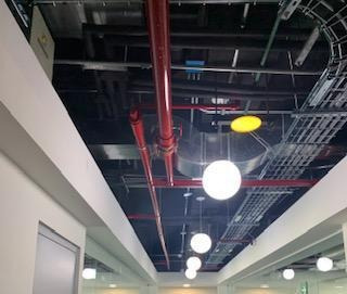 Imagen 25 de 28 de Oficinas En Renta En Querétaro