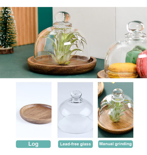 Juego 2 Cúpulas De Vidrio Con Base De Madera 8.6 Cm Cloc