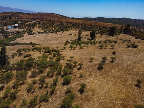 Se Vende Parcela En Sector Los Laureles Limache