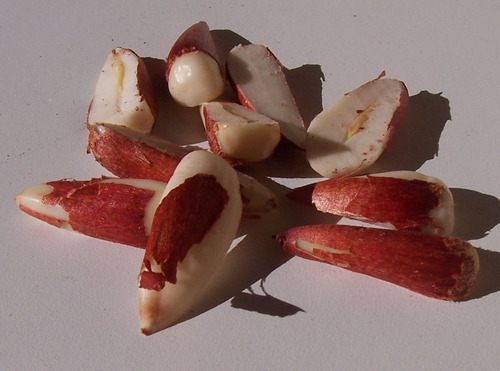 Piñones De Araucaria Pelados En Mitades X 80 Gr - Al Vacío