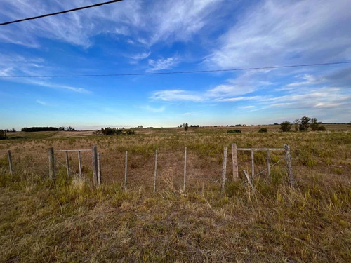 Chacra 6 Ha Sobre Ruta 5, 234 Metros De Frente A Solo 1 Hora De Montevideo Y 5 Minutos De La Ciudad De Florida, Precio Negociable, Espectacular Ubicación