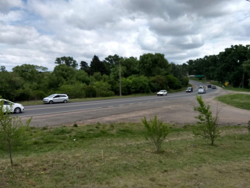 Imagen 9 de 23 de Terreno Sobre Ruta