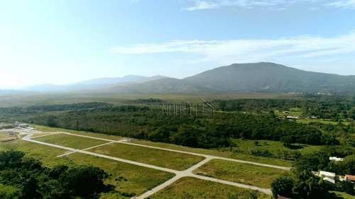 Terreno À Venda, 436 M²- Ratones - Florianópolis/sc - Te0214