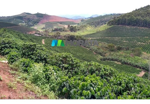 Imagem 9 de 12 de Fazenda - Zona Rural - Ref: 1394 - V-mta1394