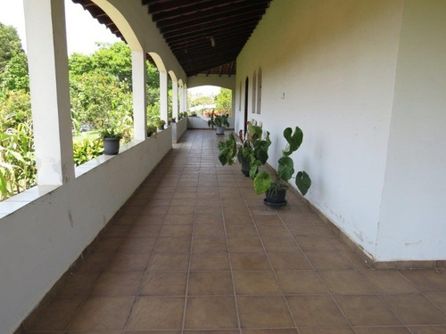 Imagem 17 de 30 de Chacara - Ch00273 - 2740999