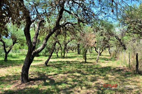 Imagen 13 de 13 de Lote De 858m2 En Carpintería - Zona Céntrica