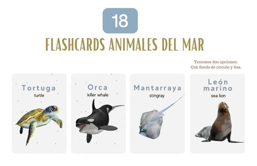 Flashcards Educativas Set 3