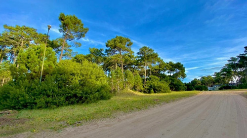 Imagen 2 de 3 de Hermoso Lote En Alamos Ii Pinamar
