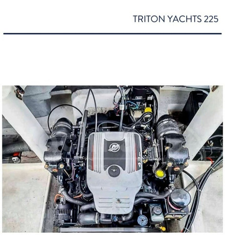 Imagem 10 de 10 de Lancha Triton 225 - Ñ E Fs/focker/nx - (semi-nova)