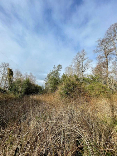 Parcela 6300m2 Arboles Nativos (105986)