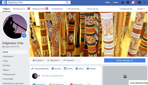 Didgeridoo De Todos Los Modelos, Tamaños Y Formas.best Price