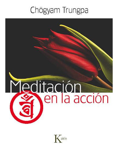 Meditacion En La Accion