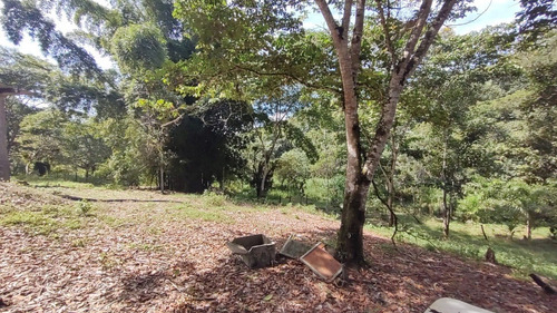 Imagem 10 de 29 de Sete Barras/14 Alq/ Lago/nascente/ac/propostas/ref;05373