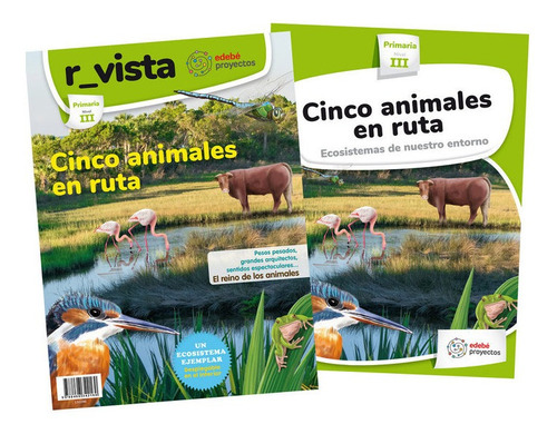 Cinco Animales En Ruta. (ecosistemas De Nuestro Entorno), De Edebé, Obra Colectiva. Editorial Edebé, Tapa Blanda En Español