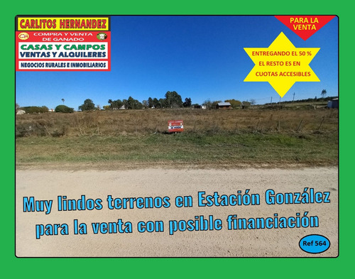 Ref 564) V - Terrenos Grandes Para La Venta En Frente A La Ruta 23 En Estación González En San José