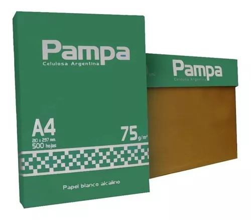 10 Resma A4 Pampa 500 Hojas 75gr Papel Blanco Caja Full