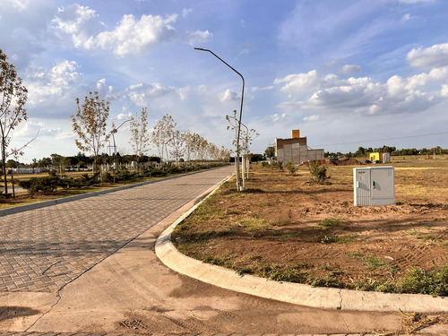 Venta De Terreno De 300 M2 Pueblo Esther Ecotierra