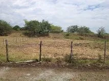 Lote Vía Tablones Palmira Valle
