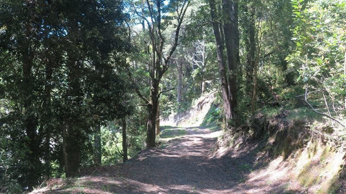 Imagen 23 de 30 de Agrícola En Venta En Puerto Montt
