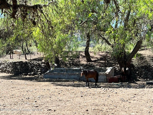 Rancho En Venta Entre Querétarp Y San Miguel