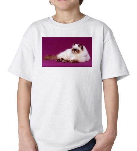 Remera De Niño Gato Persa Descansando