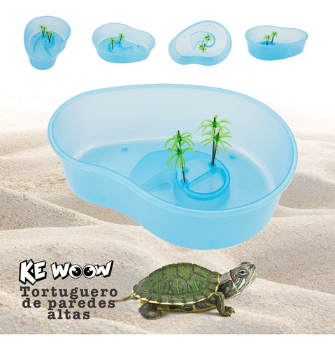 Tortuguero Riñón Chico, Ideal Tortuga Semi-acuática. Kewoow