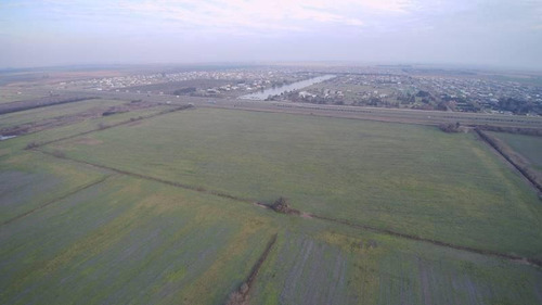 Imagen 6 de 7 de Excepcional Parcela De Campo De 16 Has. Ubicada Sobre Autopista Rosario - Córdoba ( A La Altura De Roldán) - Pcia De Santa Fe