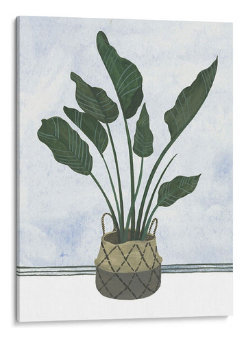 Canvas Lab Cuadro Mes Plantas Iii 75x100, Melissa Wang