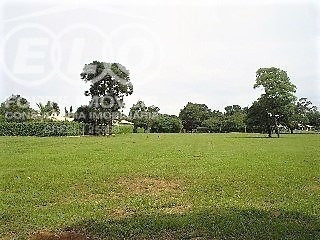 Imagem 1 de 6 de Terreno - Te01082 - 2992041