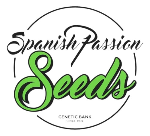 El Chapo Haze X3 - Spanish Passion Seeds