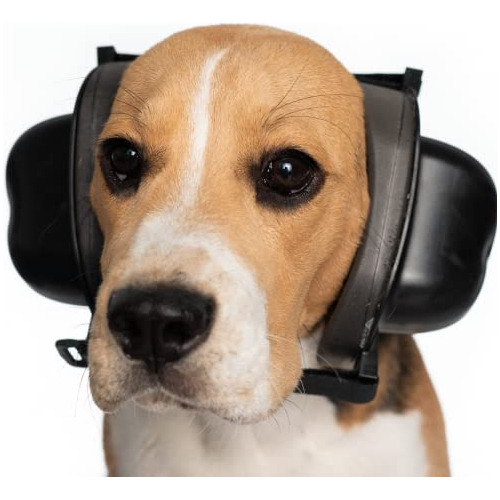 Protectores De Oídos Perros, Protección Contra Ruido ...