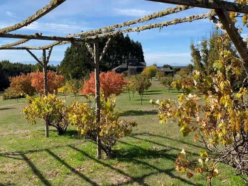 Imagen 15 de 30 de Campo Con Casa Talingotinto 10,5ha R. De Los Ríos