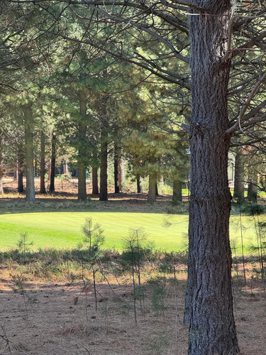 Terreno En Barrio Chapelco Golf