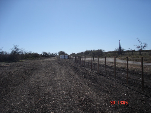 Imagen 12 de 12 de Campo Ganadero 42 Has E.rios Altamirano Sud Ideal Ganadería