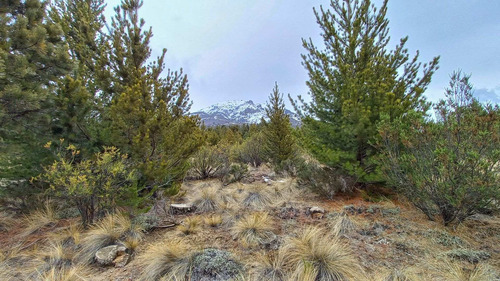 Imagen 2 de 21 de Terreno A La Venta En Bariloche