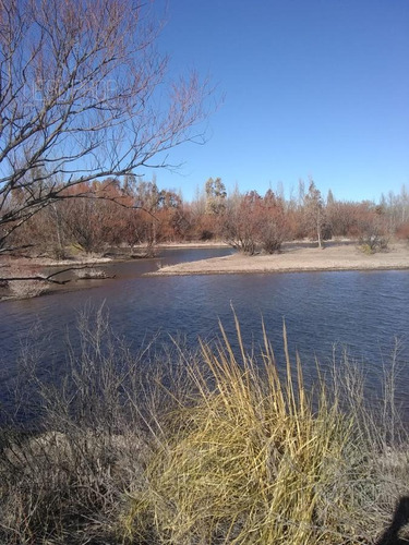 Imagen 3 de 3 de Venta - Terreno Héctareas Chacra - Arroyito, Plottier, Neuquén
