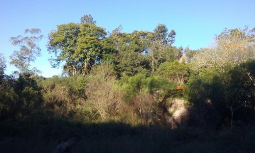 Imagem 7 de 9 de Área Rural Para Venda Em Sertão Santana, Linha Alfredo Silveira - Sertão Santana - 3026_1-820982