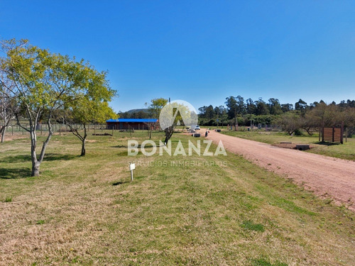 Imagen 8 de 9 de Tierra Calma. Piriápolis. Terrenos En Venta Financiados.