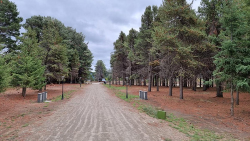 Terreno En Venta Con Acceso A Costa De Lago. B° Villa De Miguel. Dina Huapi.