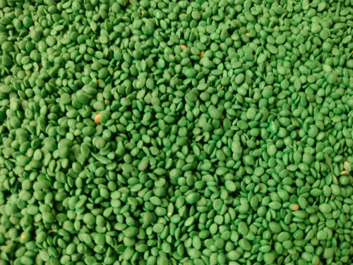 Sementes De Grama Batatais Incrustada (1 Kg) +2,5kg De Adubo