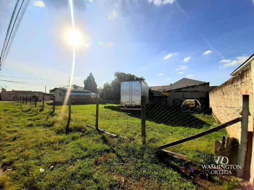 Imagem 5 de 9 de Terreno À Venda, 481 M² Por R$ 530.000,00 - Borda Do Campo - São José Dos Pinhais/pr - Te0225